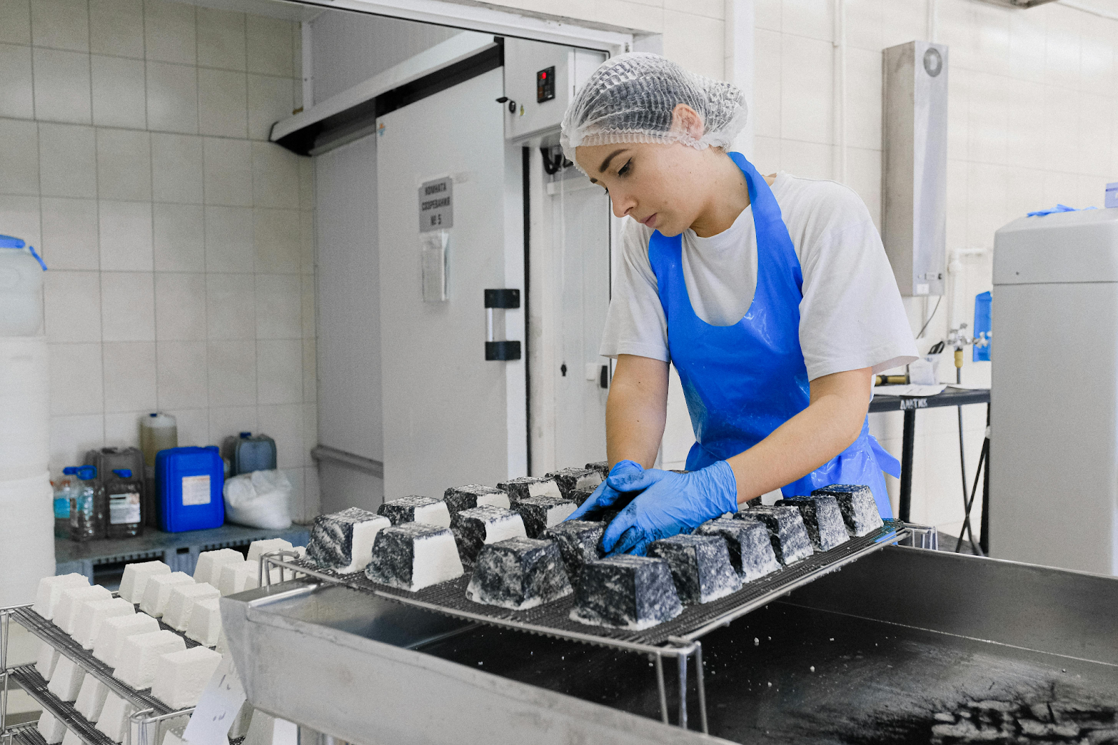 A worker in blue gloves arranging small square blocks of ash-coated cheese on a metal drying rack.